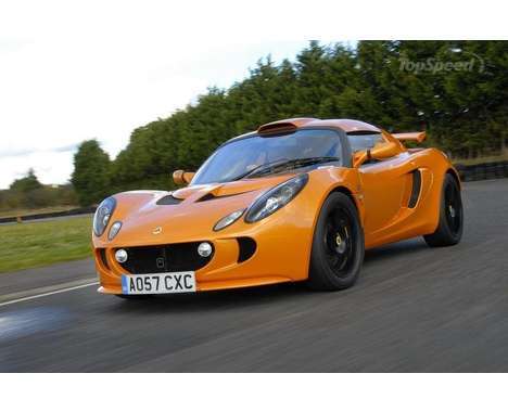 22 Lovely Lotuses