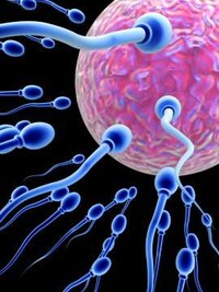 New Male Contraceptives