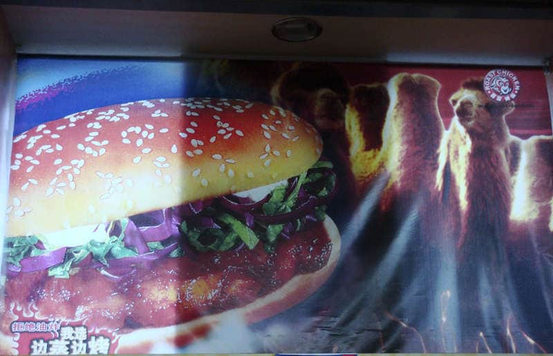 Camel Burgers