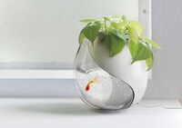 Plant-Growing Aquariums