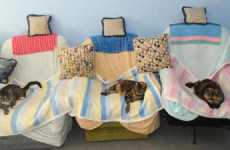 Retirement Homes for Cats