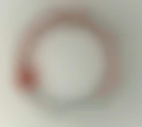 Red Wine Thermometers