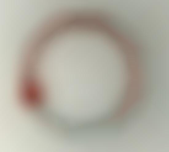 Red Wine Thermometers