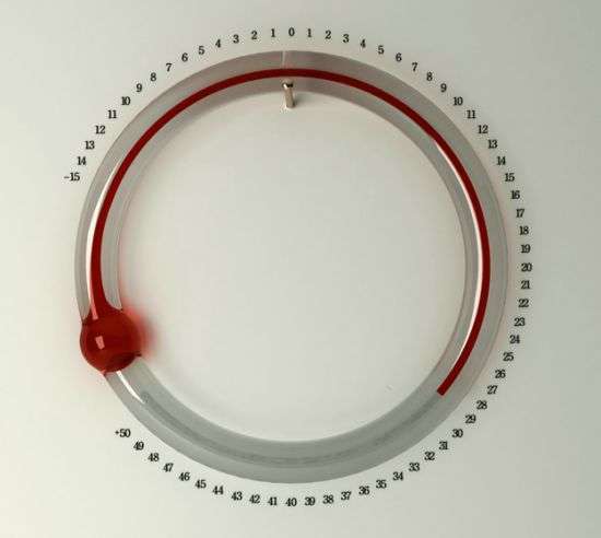 Red Wine Thermometers
