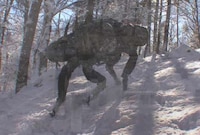 Military Boston Bots Image 2