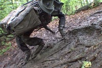 Military Boston Bots Image 5
