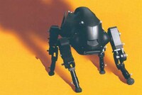 Military Boston Bots Image 6