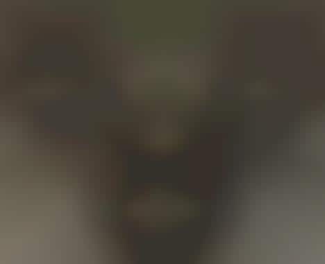 Mosquito Helicopters