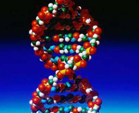 40 DNA and Genome Finds