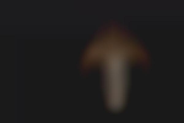 Bullet Healing Jewelry