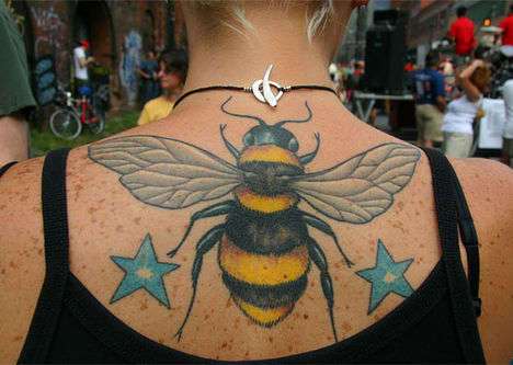 59 Bee-Autiful Bee and Honey Finds