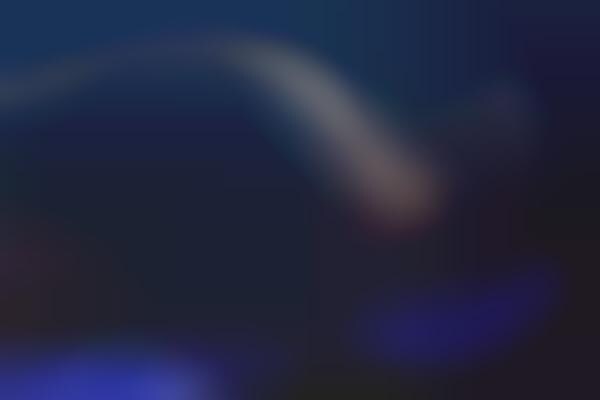 Blue-Lit Bridges