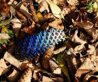 Psychedelic Leaf Art Image 2