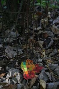 Psychedelic Leaf Art Image 3