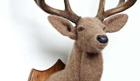 Jungle Faux Taxidermy Image 2
