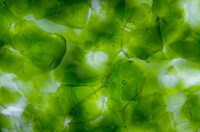 Stunning Sustainable Surfaces Image 3