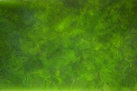 Stunning Sustainable Surfaces Image 4