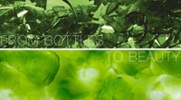 Stunning Sustainable Surfaces Image 5