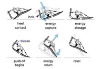 Energy-Recycling Prosthetics Image 4