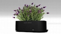 Programmable Planters Image 2