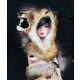 Racy Animal Illustrations Image 4