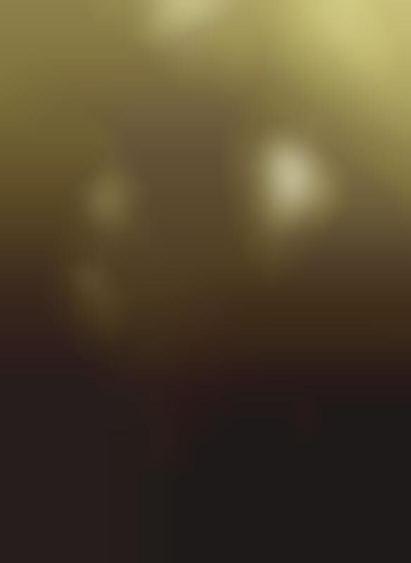 Gauzy Golden Photoshoots