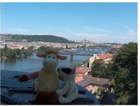 Toy Travel Agencies Image 4
