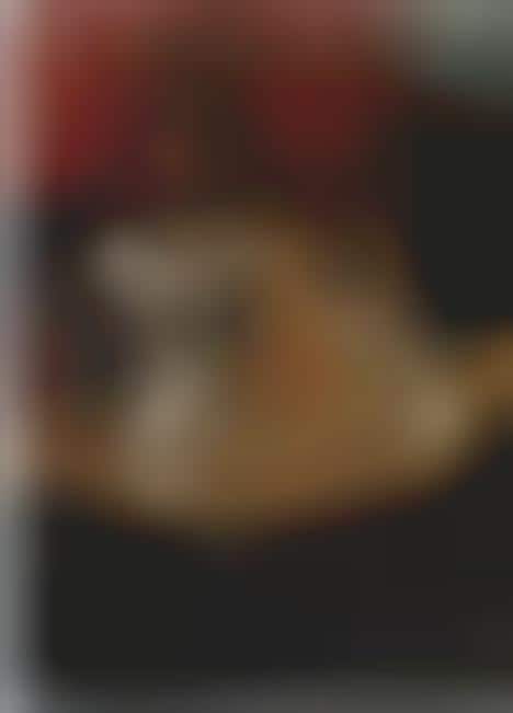Mullet Fashiontography