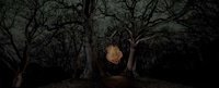 Fireball Forests Image 2