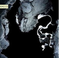 Fireball Forests Image 6