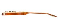 Celebratory Iconic Instruments Image 2