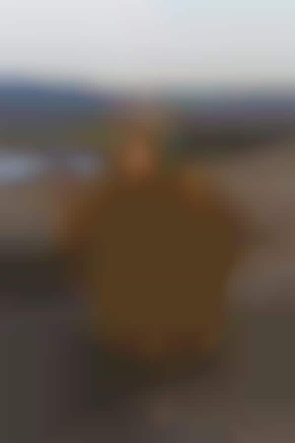 Mini Mascot Lookalikes