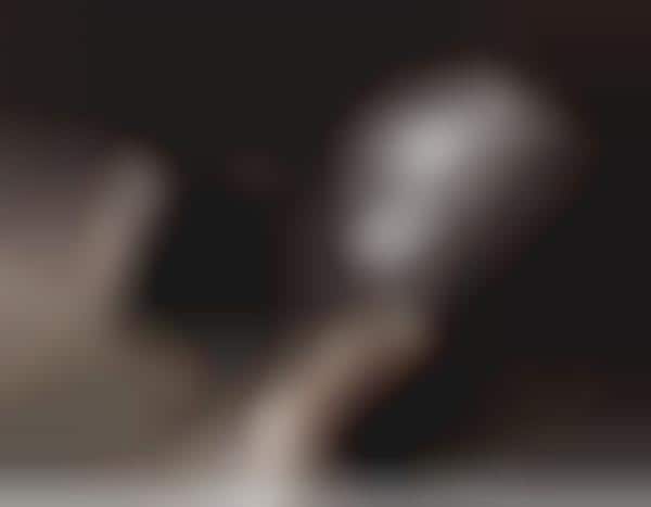 Two-Headed Vaportography