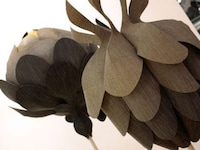 Botanic Floor Coverings Image 2