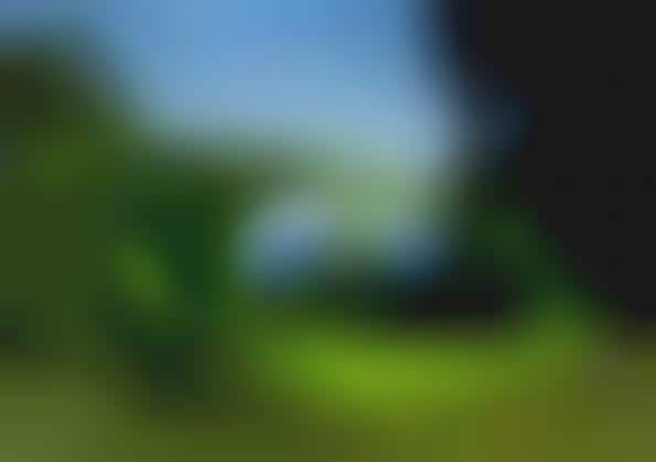 Gyrating Greenchitectures
