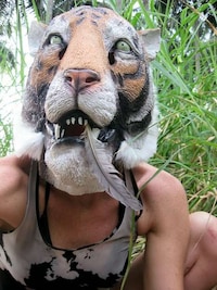 Beached Tiger Art Image 3