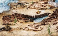 Epic Aquatic Renderings Image 5