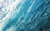 Epic Aquatic Renderings Image 8