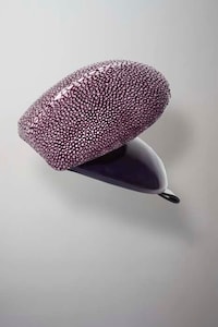 Stingray Skin Accessories Image 3