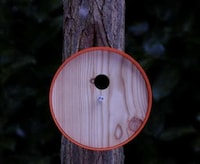 Perfect Circle Bird Cribs Image 3