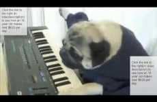 10 Pugtastic Finds
