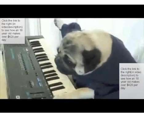 10 Pugtastic Finds