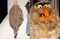 Cookie Monster Coats Image 4