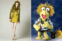 Cookie Monster Coats Image 5