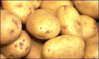 Modified Spud Paper Image 2