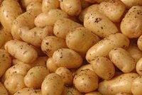 Modified Spud Paper Image 5