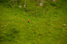 Itty-Bitty Landscapes