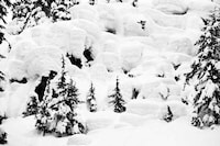 Snowboarder Street Art Image 4