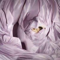Satin-Shrouded Nudetography Image 3