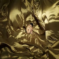Satin-Shrouded Nudetography Image 4